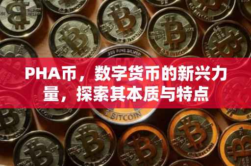PHA币，数字货币的新兴力量，探索其本质与特点