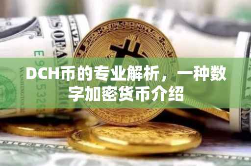 DCH币的专业解析，一种数字加密货币介绍