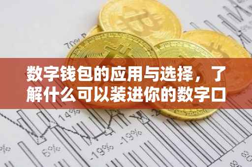 数字钱包的应用与选择，了解什么可以装进你的数字口袋