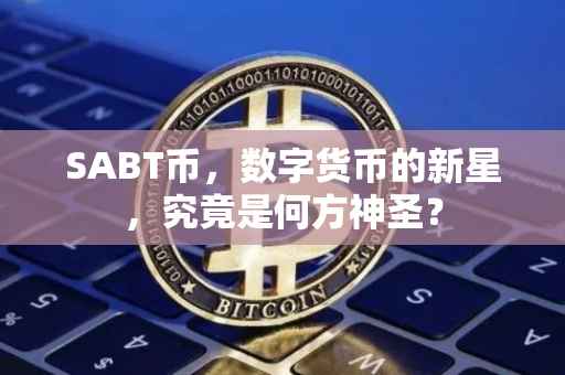 SABT币，数字货币的新星，究竟是何方神圣？