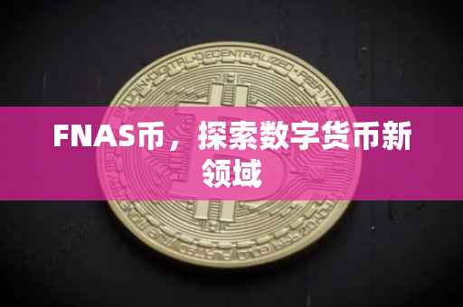 FNAS币，探索数字货币新领域