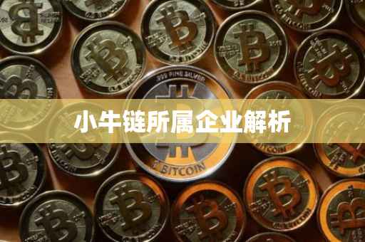 小牛链所属企业解析