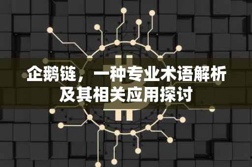 企鹅链，一种专业术语解析及其相关应用探讨