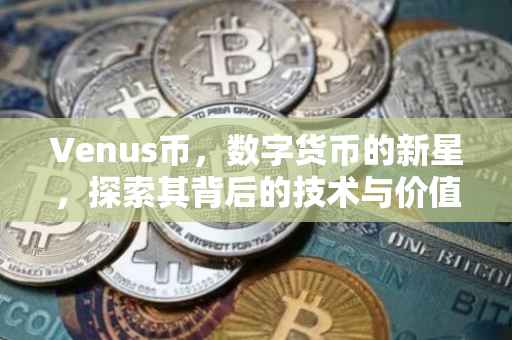 Venus币，数字货币的新星，探索其背后的技术与价值