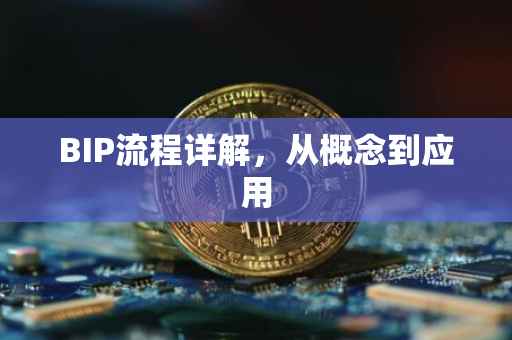 BIP流程详解，从概念到应用