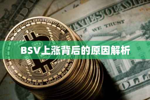 BSV上涨背后的原因解析