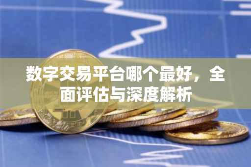 数字交易平台哪个最好，全面评估与深度解析