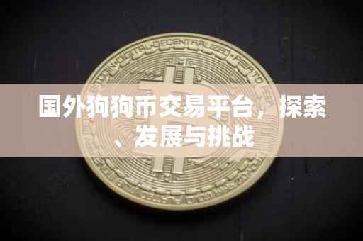 国外狗狗币交易平台，探索、发展与挑战