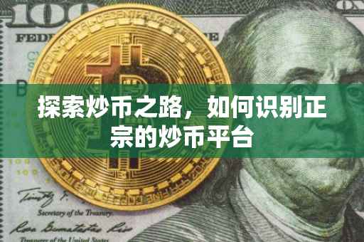 探索炒币之路，如何识别正宗的炒币平台