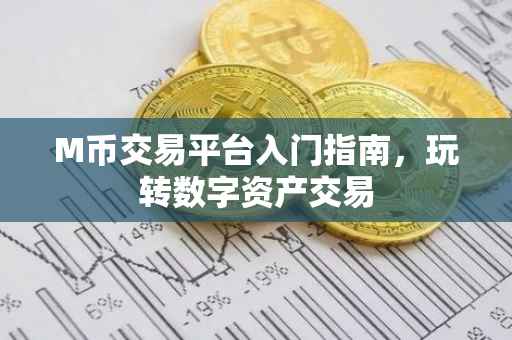 M币交易平台入门指南，玩转数字资产交易