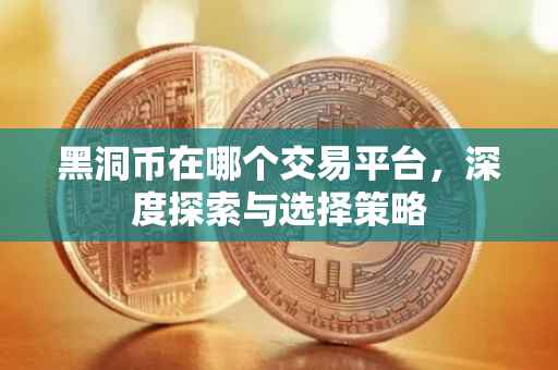黑洞币在哪个交易平台，深度探索与选择策略