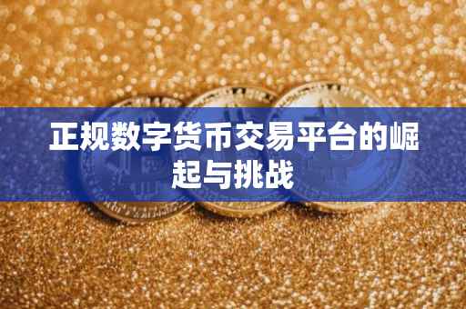 正规数字货币交易平台的崛起与挑战