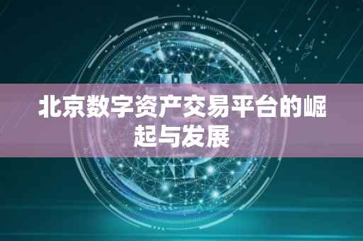 北京数字资产交易平台的崛起与发展
