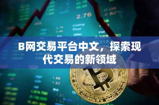 B网交易平台中文，探索现代交易的新领域