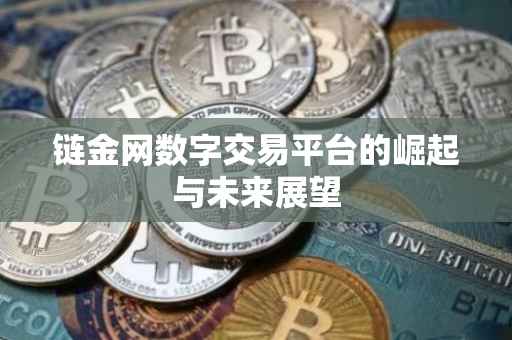 链金网数字交易平台的崛起与未来展望