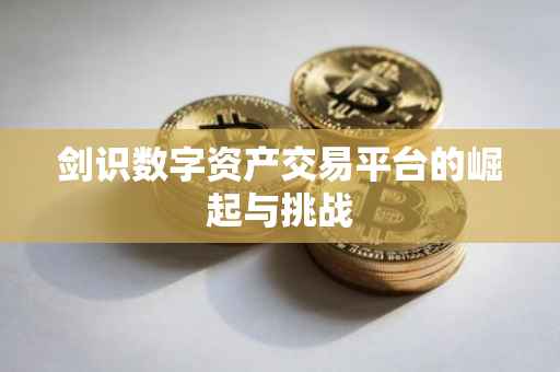 剑识数字资产交易平台的崛起与挑战