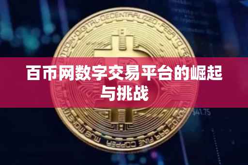 百币网数字交易平台的崛起与挑战