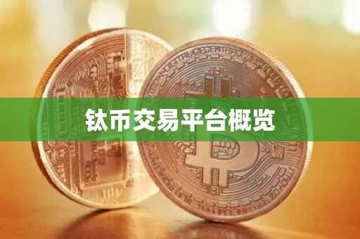 钛币交易平台概览