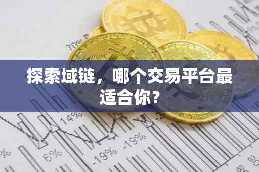 探索域链，哪个交易平台最适合你？
