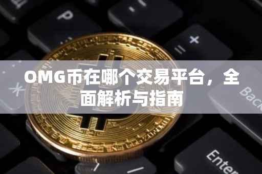 OMG币在哪个交易平台，全面解析与指南