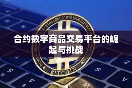 合约数字商品交易平台的崛起与挑战