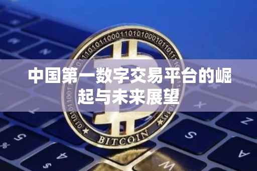 中国第一数字交易平台的崛起与未来展望