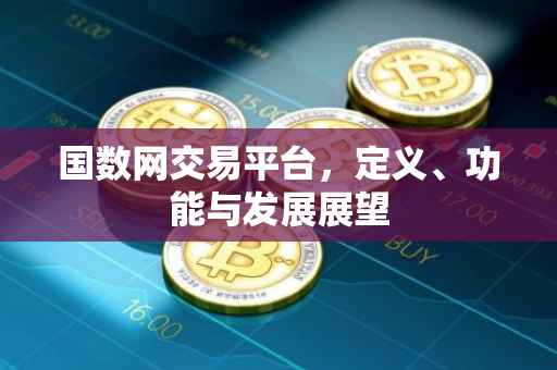 国数网交易平台，定义、功能与发展展望