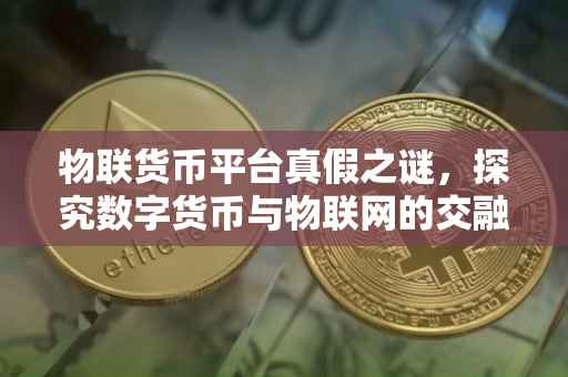 物联货币平台真假之谜，探究数字货币与物联网的交融世界