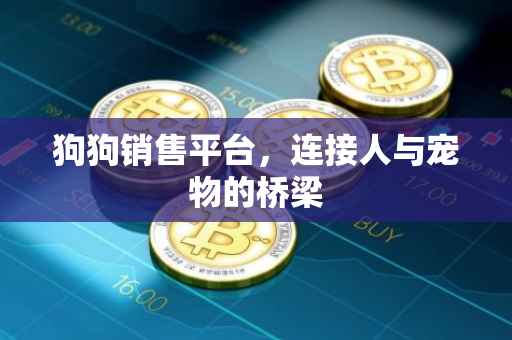 狗狗销售平台，连接人与宠物的桥梁