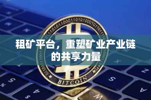 租矿平台，重塑矿业产业链的共享力量