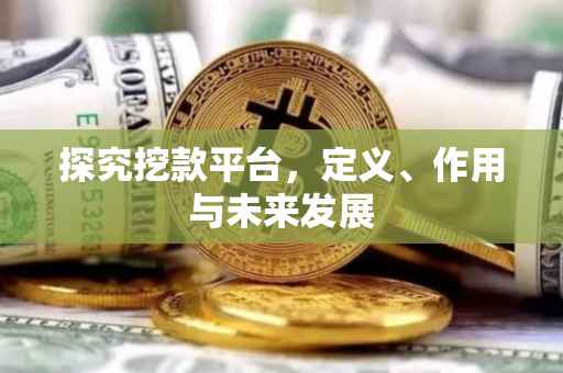 探究挖款平台，定义、作用与未来发展