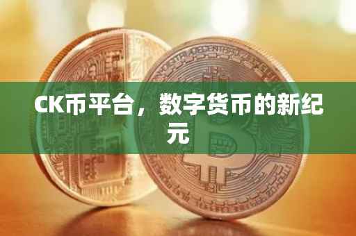 CK币平台，数字货币的新纪元