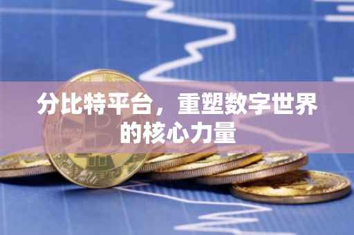 分比特平台，重塑数字世界的核心力量