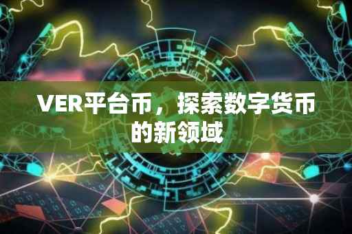 VER平台币，探索数字货币的新领域