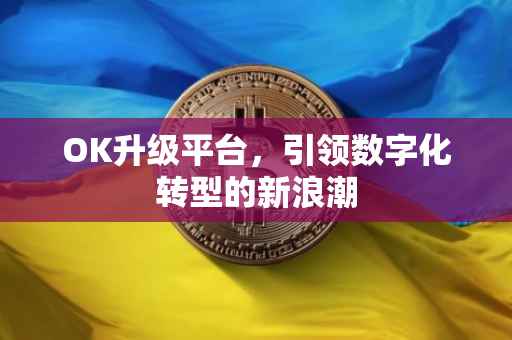 OK升级平台，引领数字化转型的新浪潮