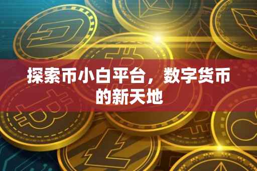 探索币小白平台，数字货币的新天地