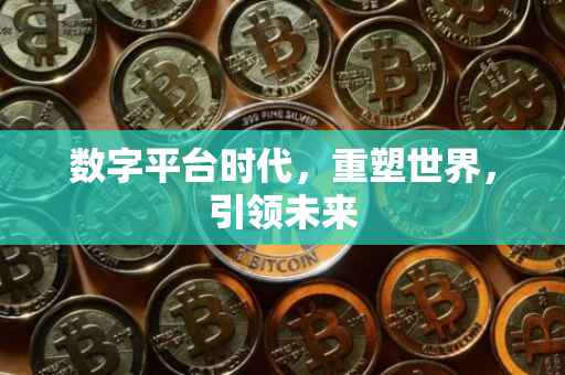 数字平台时代，重塑世界，引领未来