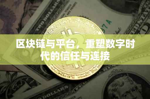 区块链与平台，重塑数字时代的信任与连接