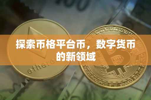 探索币格平台币，数字货币的新领域