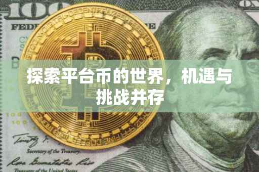 探索平台币的世界，机遇与挑战并存