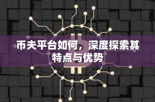 币夫平台如何，深度探索其特点与优势