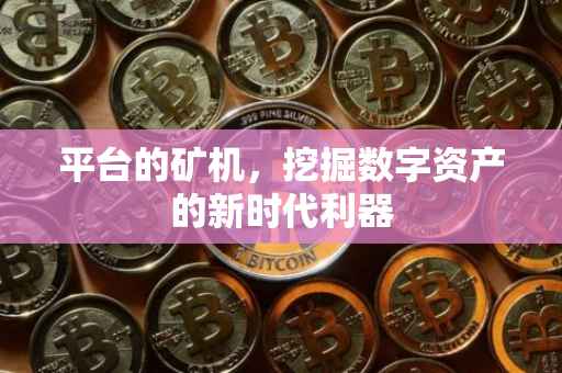 平台的矿机，挖掘数字资产的新时代利器