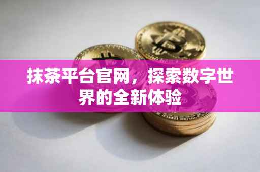 抹茶平台官网，探索数字世界的全新体验