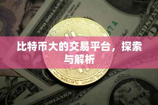 比特币大的交易平台，探索与解析