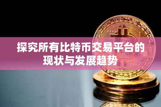 探究所有比特币交易平台的现状与发展趋势