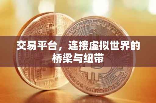交易平台，连接虚拟世界的桥梁与纽带