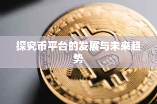 探究币平台的发展与未来趋势