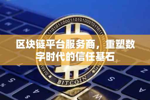 区块链平台服务商，重塑数字时代的信任基石