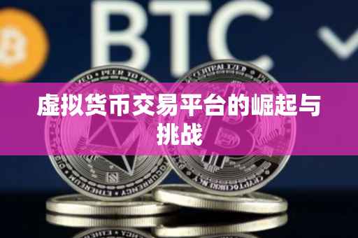 虚拟货币交易平台的崛起与挑战