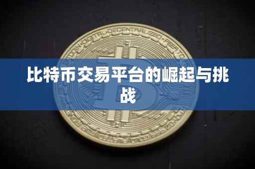 比特币交易平台的崛起与挑战